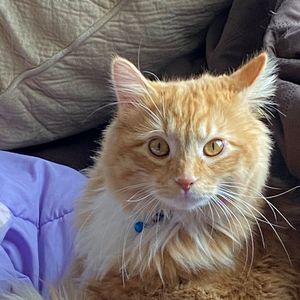 Meet your Posher, Shannon